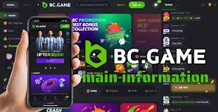 Understanding BC.Game Crash Gameplay, Strategies, and Community Insights